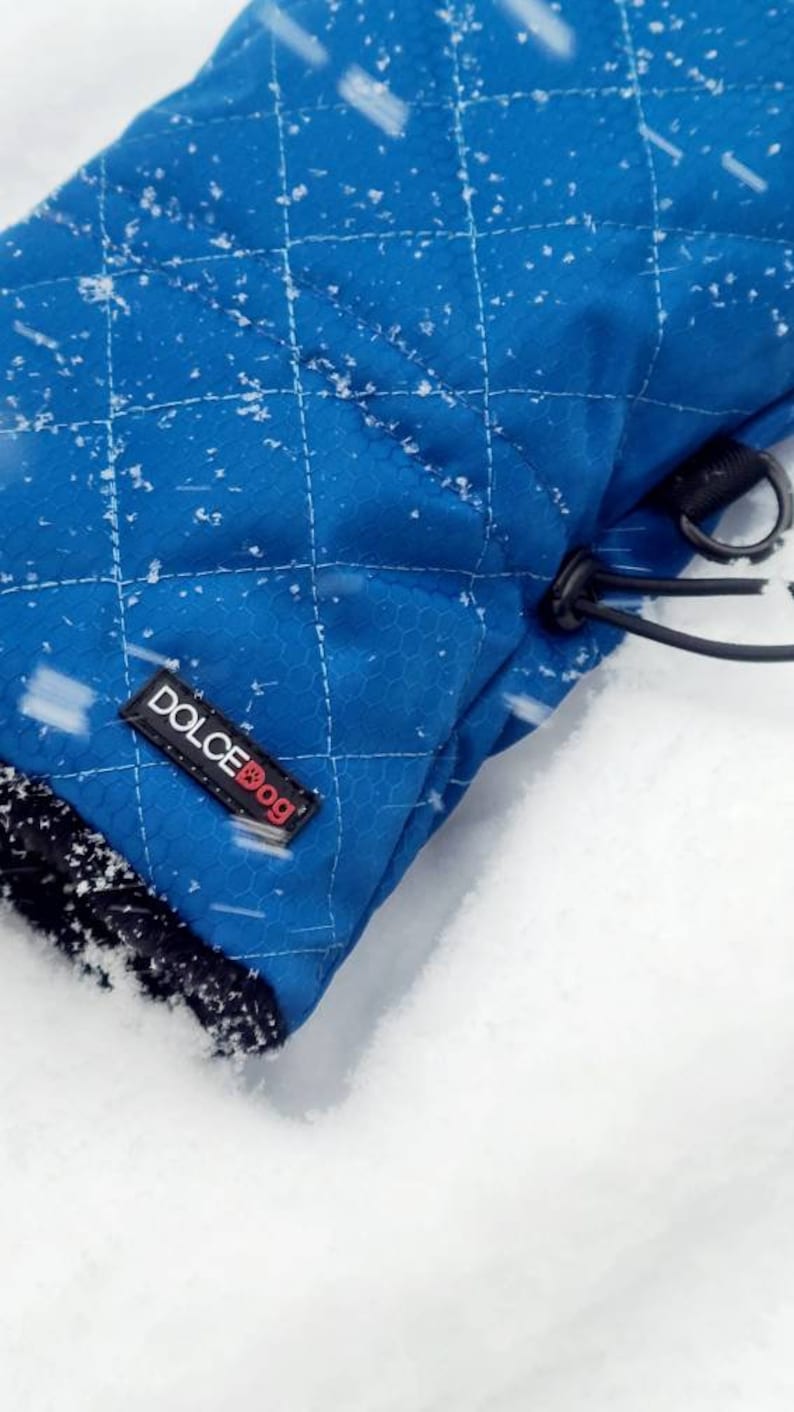 Pode incluir: Um casaco acolchoado azul para c&atilde;o com um cord&atilde;o de ajuste preto e um logotipo vermelho que diz "DOLCE DOG" sobre um fundo branco.