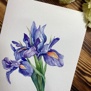 Cartes originales peintes à la main à l'aquarelle (pas d'impression), Iris, Anniversaire, Merci, Anniversaire, Carte vierge, Fête des mères, Carte de voeux, Carte-cadeau.