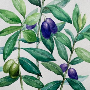8”x10” Olive Branches Original Hand Painted Watercolor ,Olive Tree , Olive leaves, Wall Deco Art. Gift