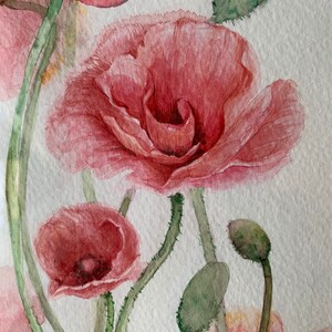 Dipinto ad acquerello originale 5"x7" (non una stampa), floreale, papaveri, dipinto, regalo per lei, arte murale, decorazione per la casa, regalo per la casa