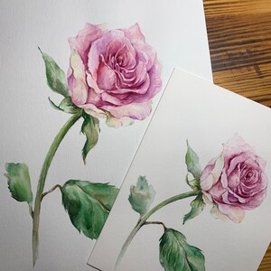 May include: Two watercolor paintings of pink roses on white paper. The roses have multiple layers of petals and are in full bloom. The stems are green with green leaves. The background is a wooden surface.