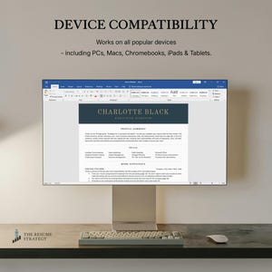 Executive Resume Template: ATS-Friendly Modern CEO Design for Word, Google Docs image 8