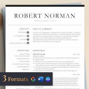 Resume Template Word, Google Docs,  C Level Excutive Resume, Modern Executive Resume Template, Manager Director Professional Resume Template