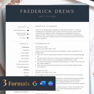 CEO Resume Resume Template for Canva, Word, Google Docs, C Level Resume, Modern Executive CV Template, Finance Resume, Manager Resume