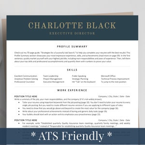 Modern Executive Resume Template 2022, CEO Resume Template for Word, Google Docs, Excutive C Level Resume | Manager Director Resume Template