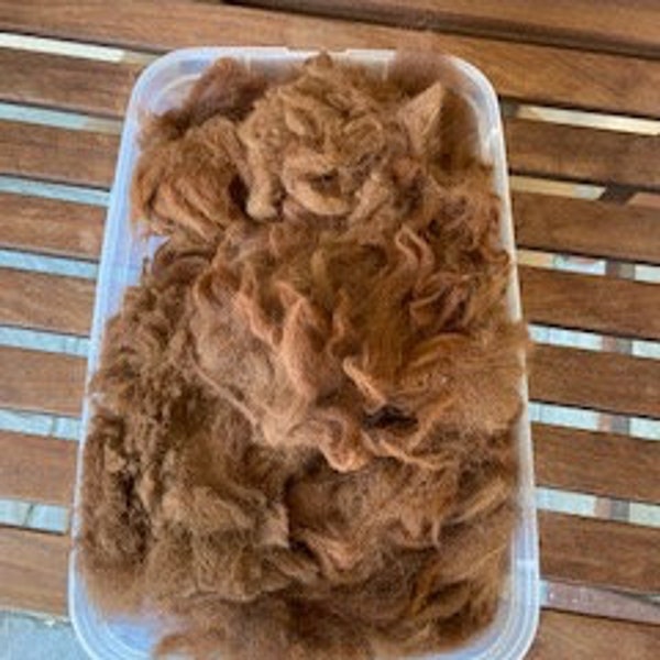 Dark Brown, Raw Alpaca Wool, 5.5 oz