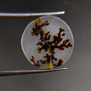 Könnte beinhalten: Ein runder, weißer Achat-Cabochon mit einem dendritischen Muster in Braun- und Schwarztönen. Der Achat ist durchscheinend und zeigt ein natürliches, organisches Design.