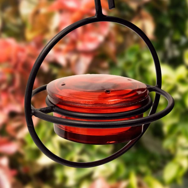 Hangende metalen kolibrievoeder | Hummingbird baars feeder mierbestendig en bijenbestendig | Rood glas Hummingbird feeder glas