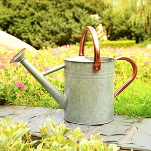 1 Gallon galvanized watering can | Tin watering can with sprinkler rosette | Large metal watering can |  Metal jug