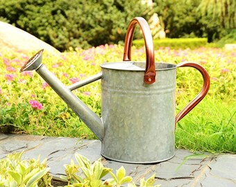 1 Gallon galvanized watering can | Tin watering can with sprinkler rosette | Large metal watering can |  Metal jug