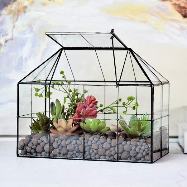 Große Glas Terrariumbehälter mit Deckel | Viktorianisches geschlossenes Terrarium | Mini-Gewächshaus Indoor | Moos Sukkulenten Schnecke Reptil Terrarium