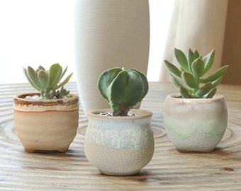 3PC or 6PC Glazed ceramic planter set| Ceramic Pot| Ceramic Succulent Pot| Succulent Pot| Ceramic Succulent Pot| Succulent Pot with drainage