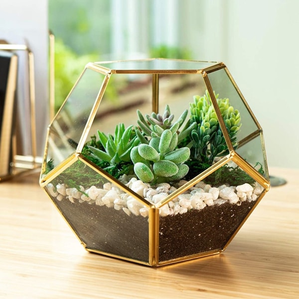 Open geometric terrarium | Gold glass terrarium planter | Succulent terrarium containers | Air plant terrarium | Succulent plant centerpiece
