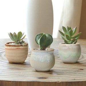 3PC or 6PC Glazed ceramic planter set| Ceramic Pot| Ceramic Succulent Pot| Succulent Pot| Ceramic Succulent Pot| Succulent Pot with drainage