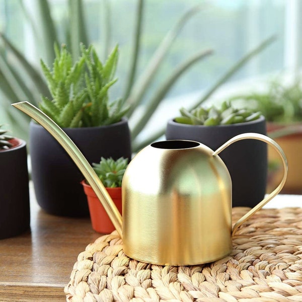 Gold watering can indoor plants | Stainless steel metal watering can
