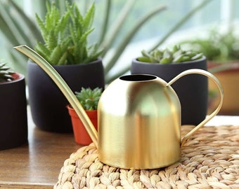 Gold watering can indoor plants | Stainless steel metal watering can