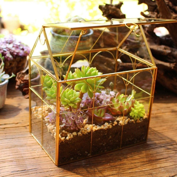 Succulent Terrarium Etsy