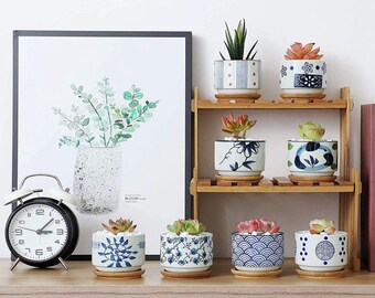 Japanese succulent ceramic planter with drainage and saucer | Ceramic planter set | Bonsai planter |Mini Colorful planter |Porcelain planter