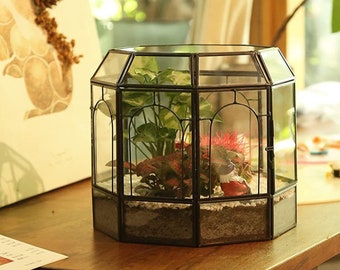 Birdcage terrarium | Closed terrarium | Victorian Glass terrarium | Succulent Air plant Venus fly trap terrarium | Mini terrarium container