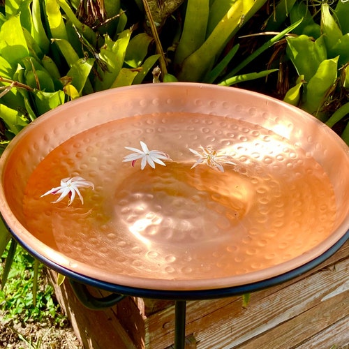 Pure Copper Bird Bath Etsy