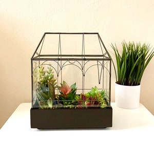 11.5" Large glass terrarium house | Closed terrarium | Mini greenhouse | Succulent terrarium containers | Air plant terrarium | Fairy garden