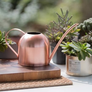 Rose gold watering can | Cute small watering can indoor plants