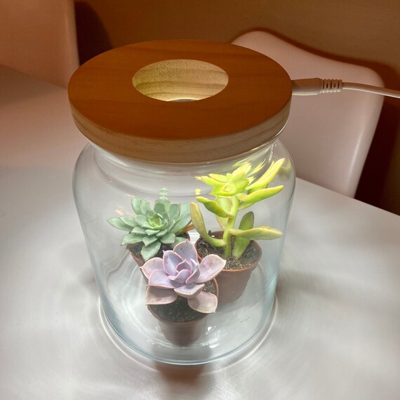 Kit LED pour aquarium - Bocal en verre avec boule de mousse