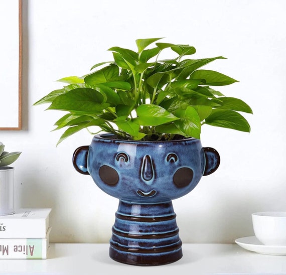 Happy Face Planter Pot Fun Ceramic Head Planter Blue Ceramic
