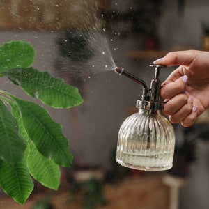 Glass spray bottle | Vintage style spray bottle | Clear glass plant mister for indoor plants