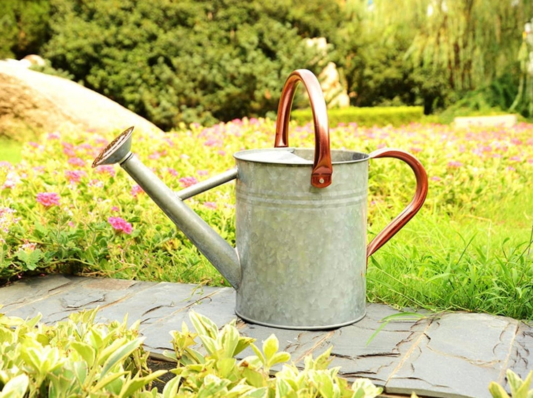 1 Gallon Galvanized Watering Can Tin Watering Can With Sprinkler