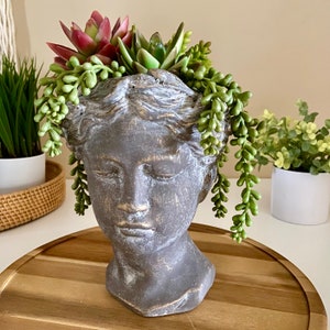 Greek Goddess Head Planter Woman Greek Bust Greek Statue Head Plant Pot ...