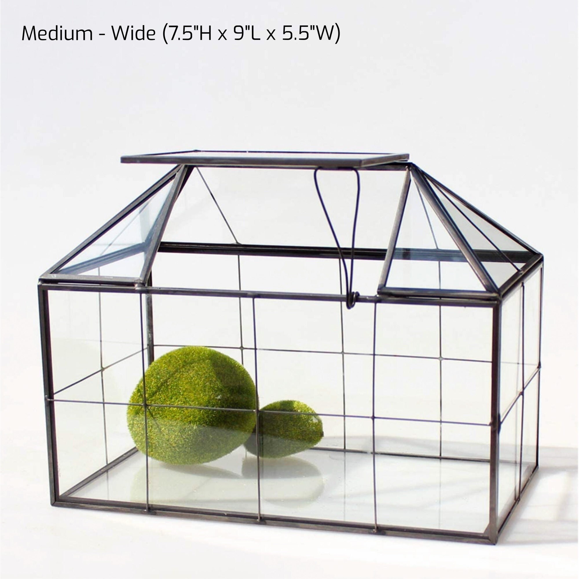 Large Glass Terrarium Containers With Lid Victorian Closed Etsy