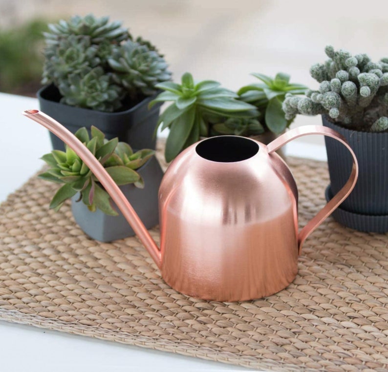 Rose Gold Watering Can Cute Small Watering Can Indoor Plants Etsy