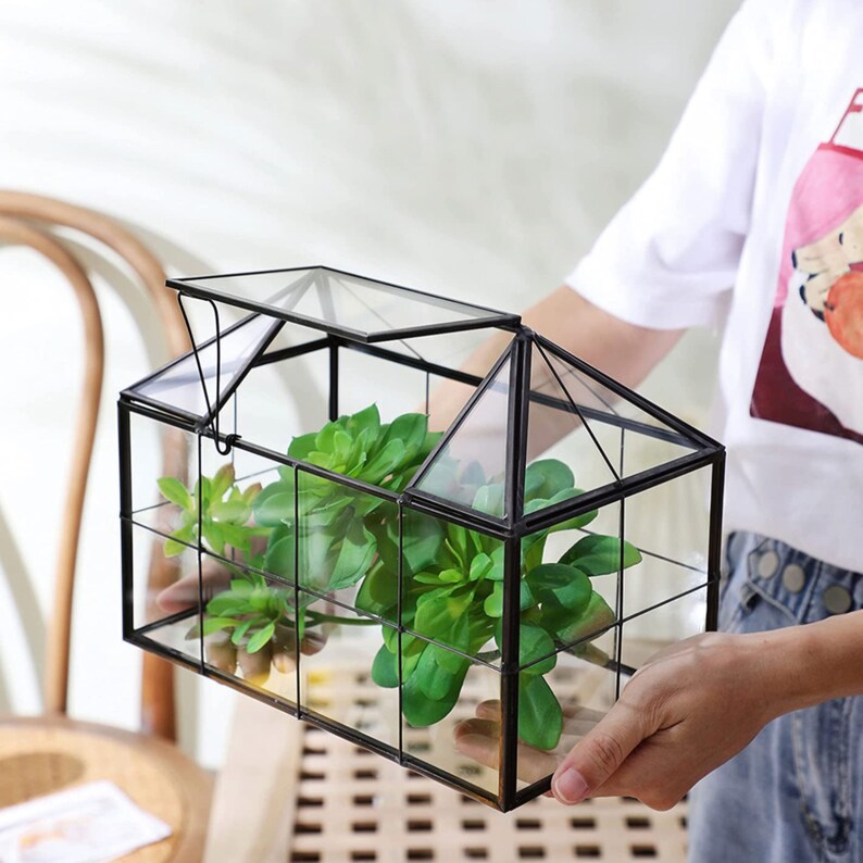 Large Glass Terrarium Containers With Lid Victorian Closed Etsy