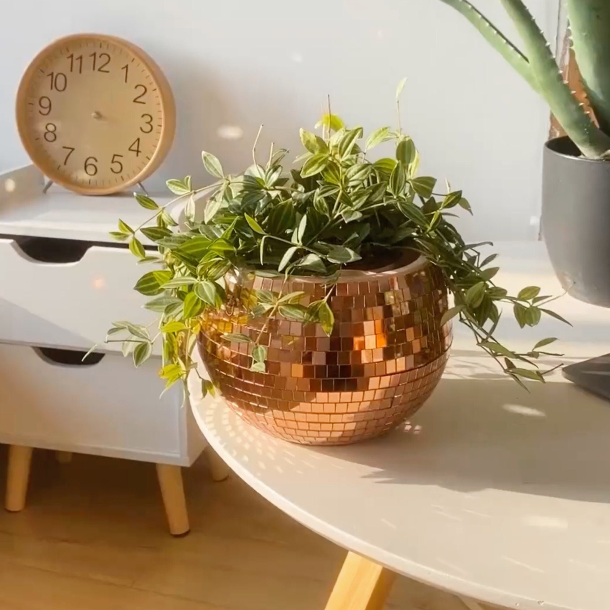 Rose Gold Disco Ball Planter Self Watering Hanging Planter Etsy