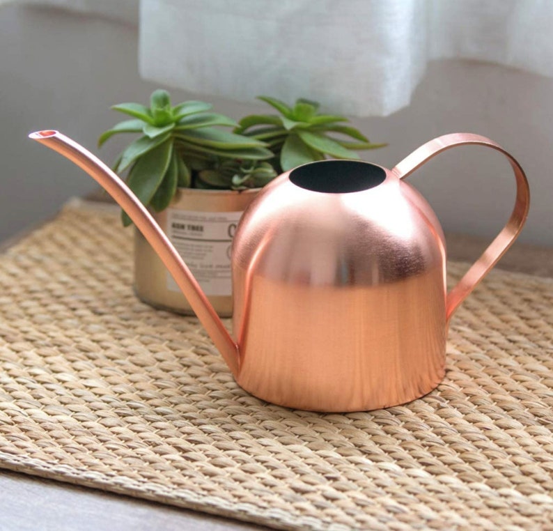 Rose Gold Watering Can Cute Small Watering Can Indoor Plants Etsy
