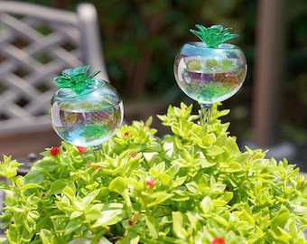 Boule d'arrosage succulente | Arrosoir en verre | Pointe d'arrosage | poire d'arrosage | Succulentes auto-arrosantes | Cadeau pour amoureux des plantes