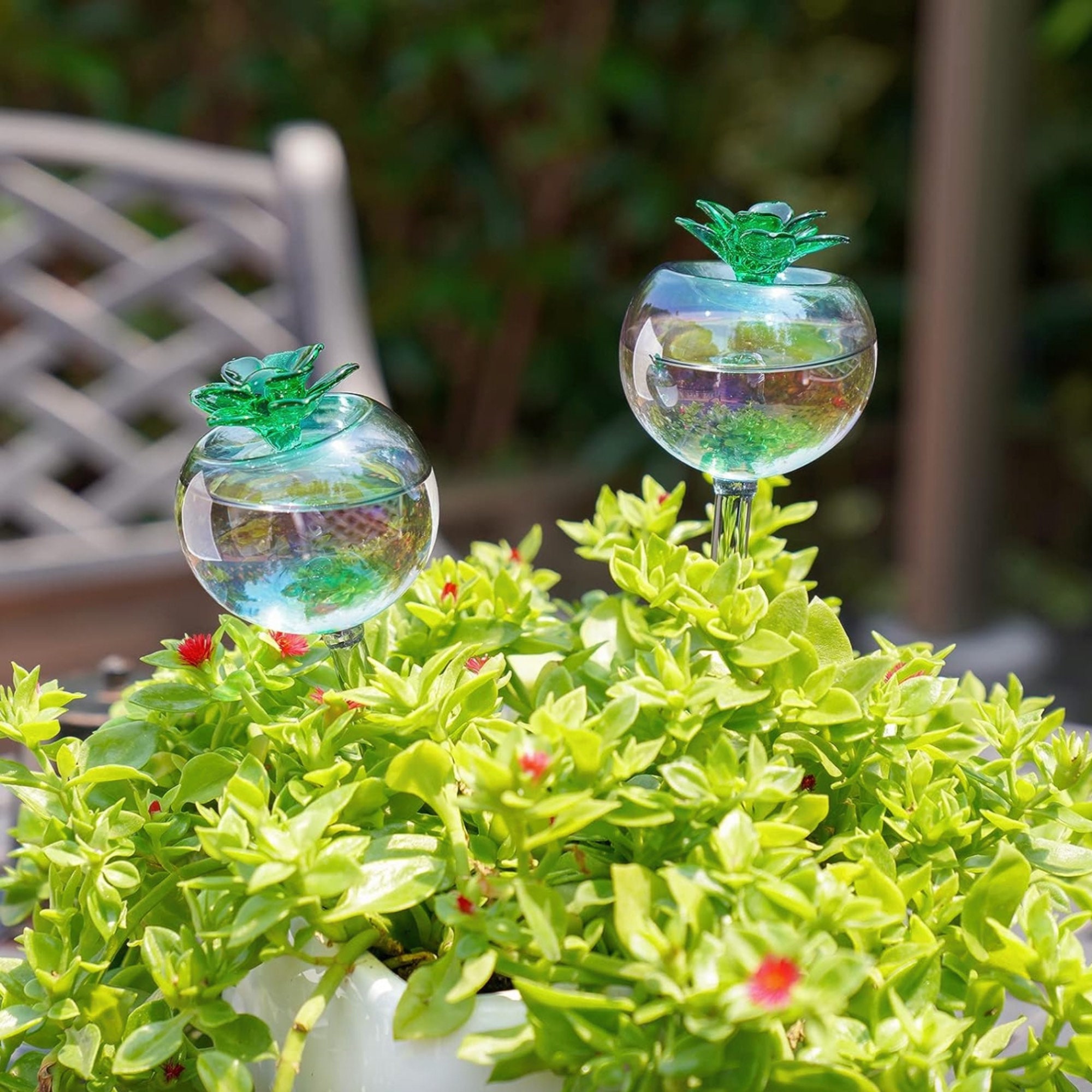 2 Globes d’arrosage pour plantes en verre - réservoir d’eau arroseur pour  plantes, goutte à goutte, intérieur extérieur pas cher