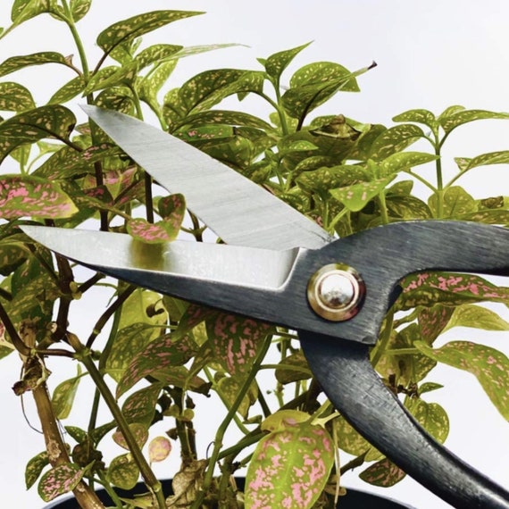 Professional Bonsai and Floral Wire Cutter - Shokunin Store