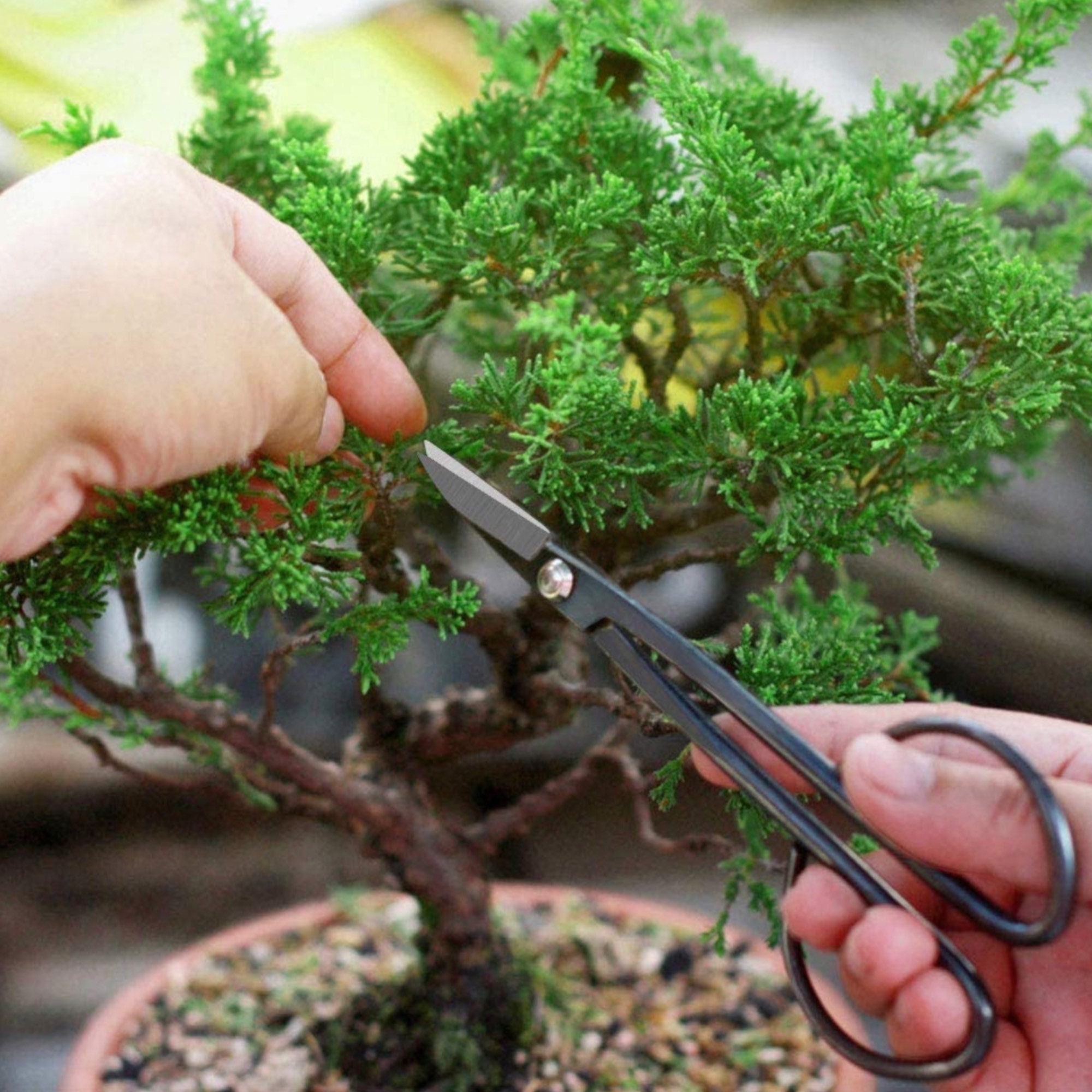 Bonsai Pruner Garden Snips Shears Trimming Clippers Mini Craft