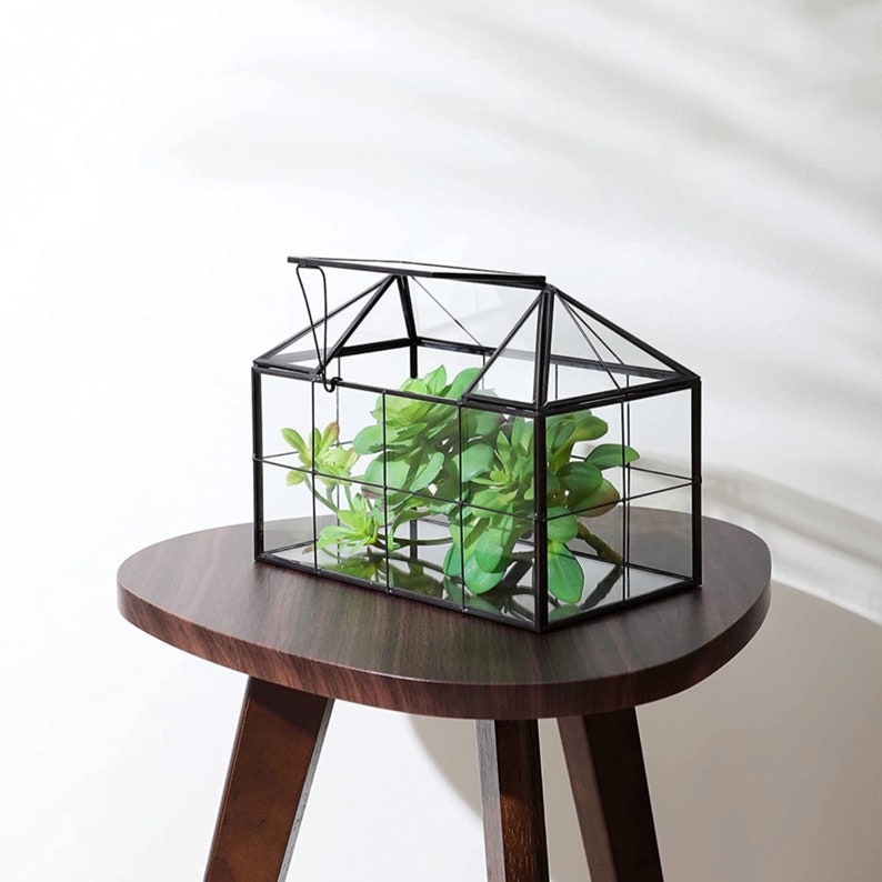 Large Glass Terrarium Containers With Lid Victorian Closed Etsy