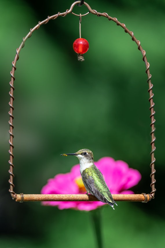 Boucles d'oreilles femme pendantes avec oiseau colibri rouge et doré