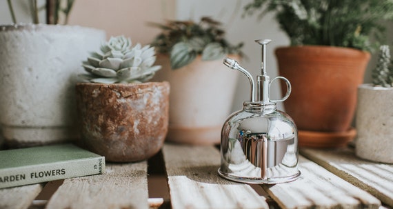 Arrosoir en verre vaporisateur pour plante en pot d'intérieur