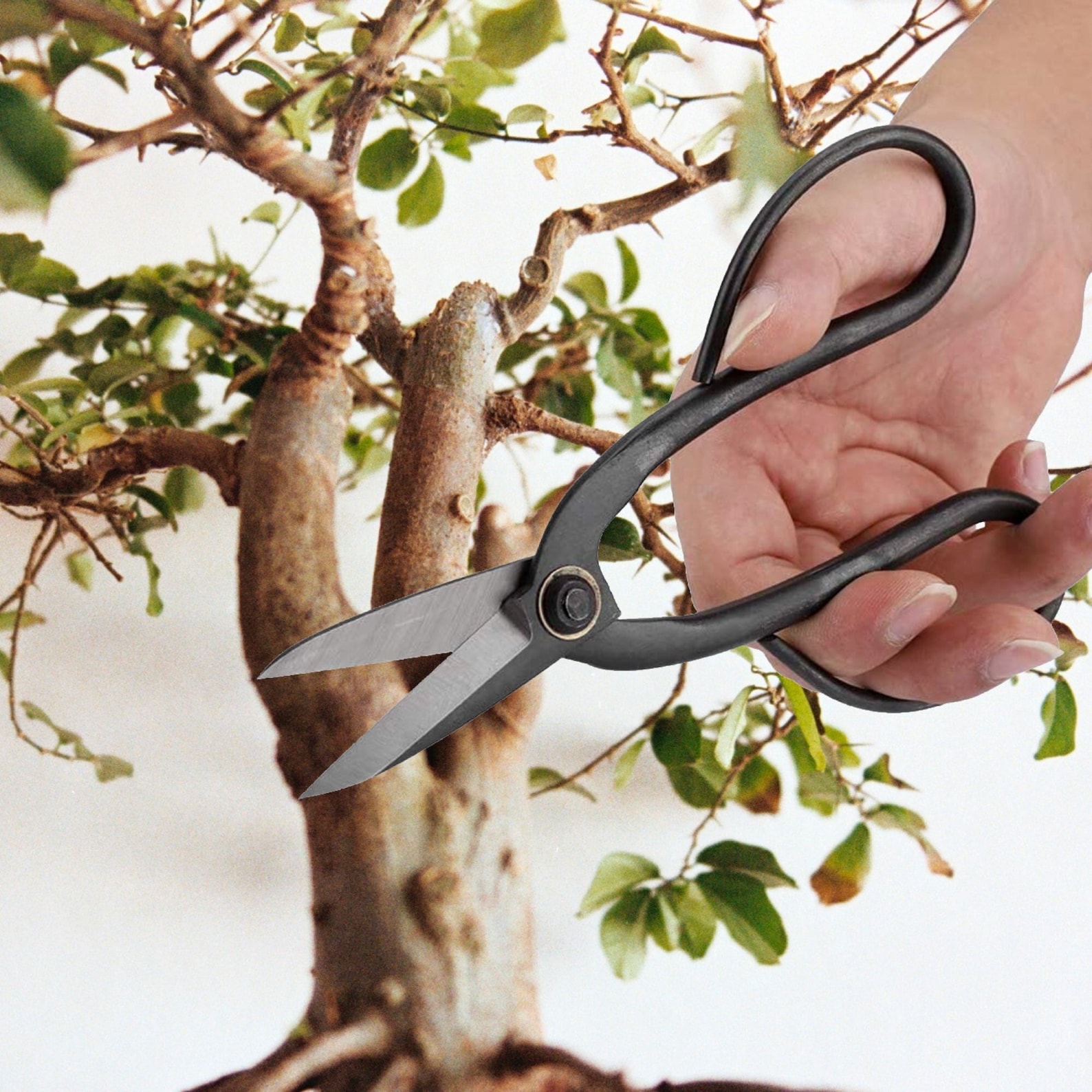 Pruning Shears Bonsai Root Scissors Large Gardening Shears Etsy