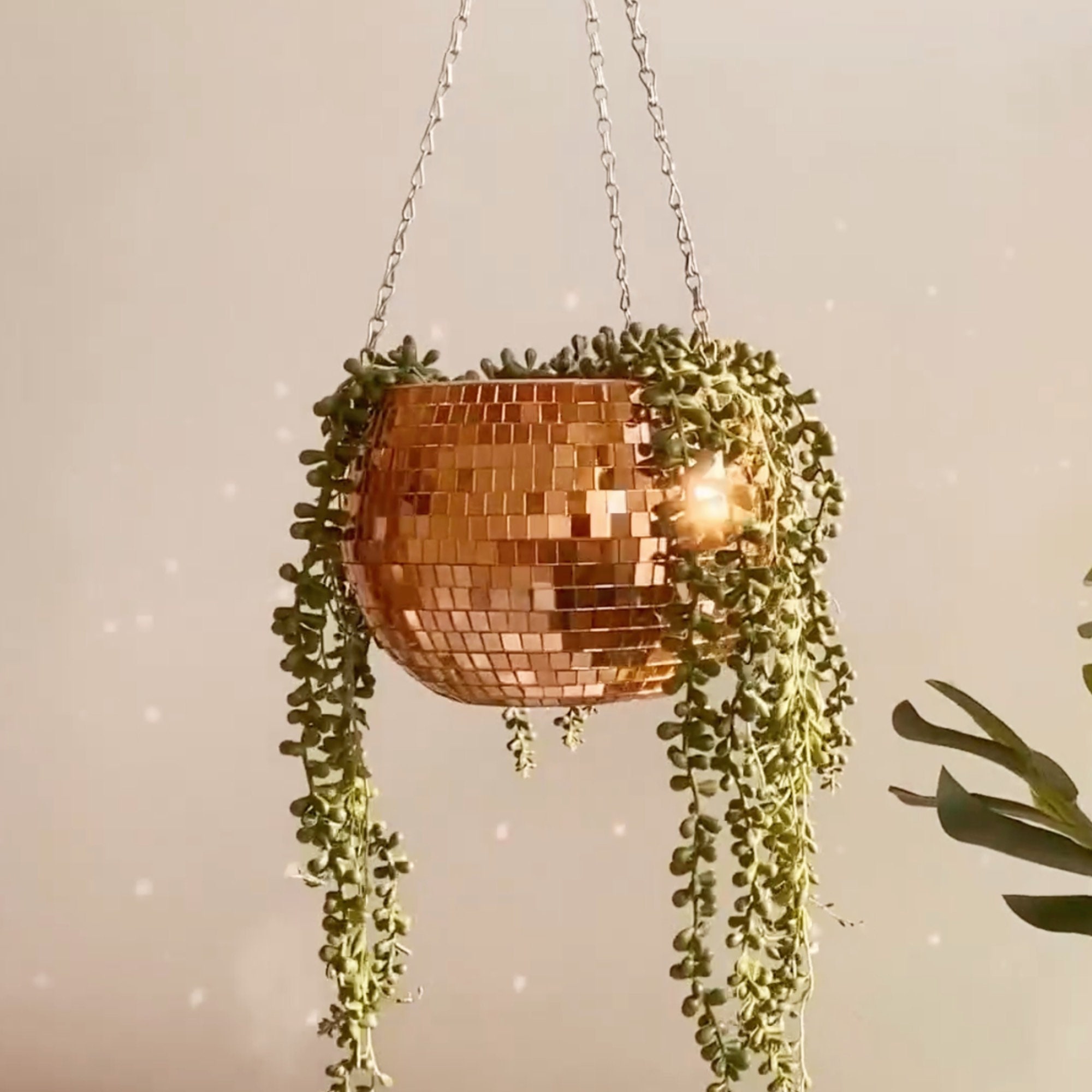 Rose Gold Disco Ball Planter Self Watering Hanging Planter Etsy