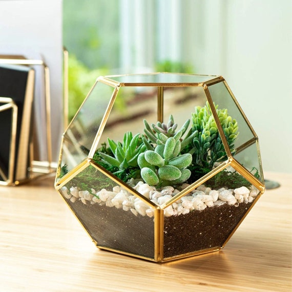 Terrarium pot deals