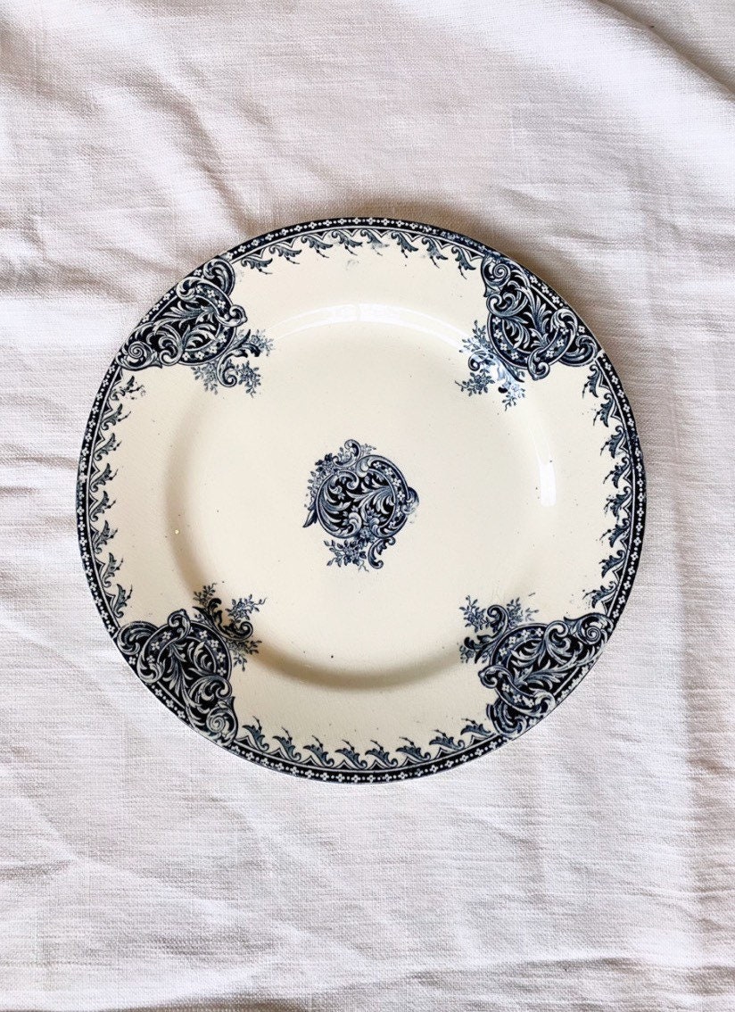 R&a Fontenoy. Assiette en Terre de Fer Salins. French Ironstone Antique Plate. Good Conditions. Plaq
