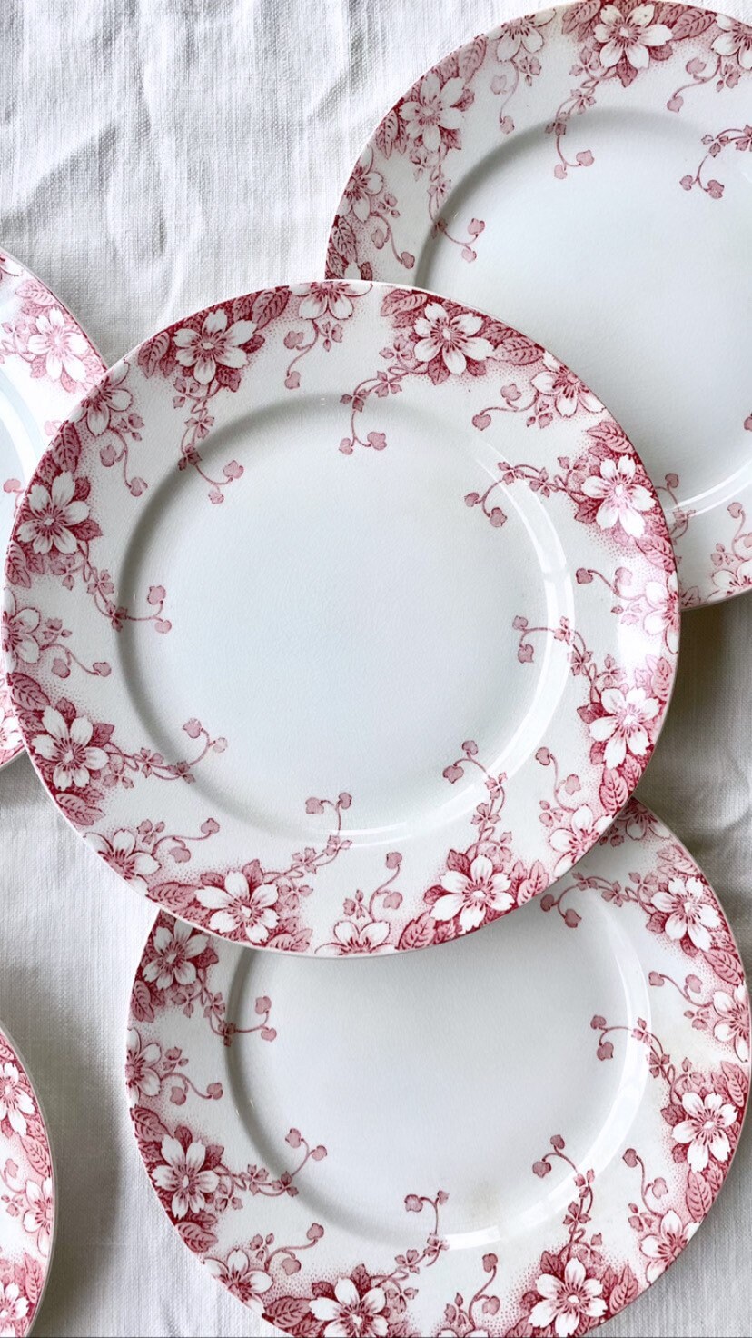 Assiette Plate Rose Terre de Fer Luneville. Antique Plates, French Ironstone. Transferware Plaque