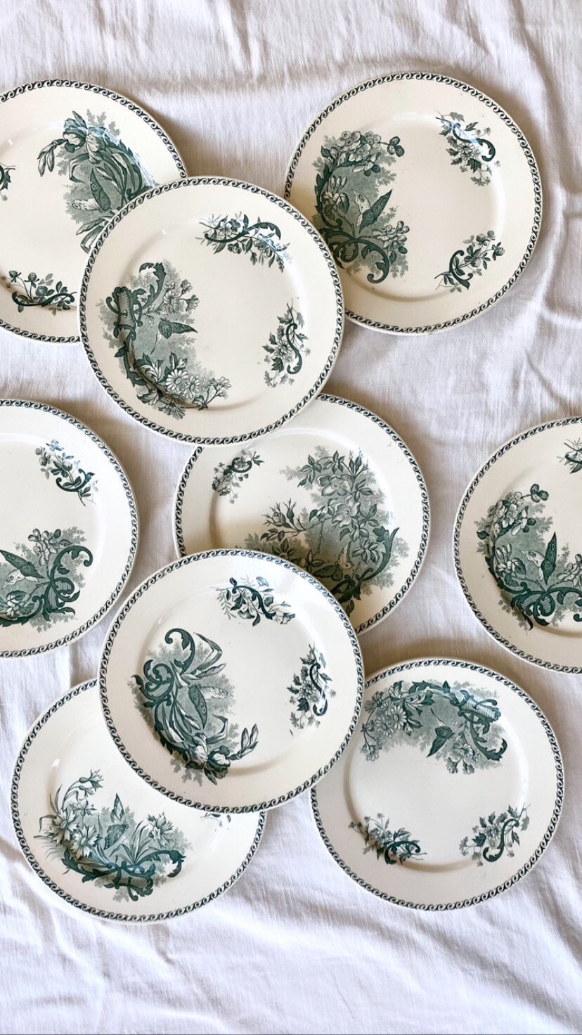 Papillons. Assiette Plate Terre de Fer Creil et Montereau. Antique Plates, French Ironstone. Transfe