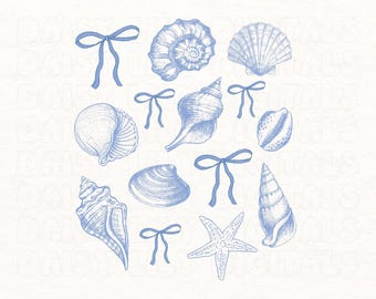 Coquette Seashell PNG Beach PNG Summer PNG Coastal Granddaughter Print Sublimation Graphic Clipart Blue Bow Clipart Digital Instant Download